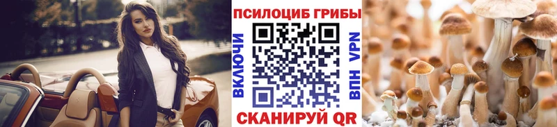 Псилоцибиновые грибы Psilocybe  Южа 